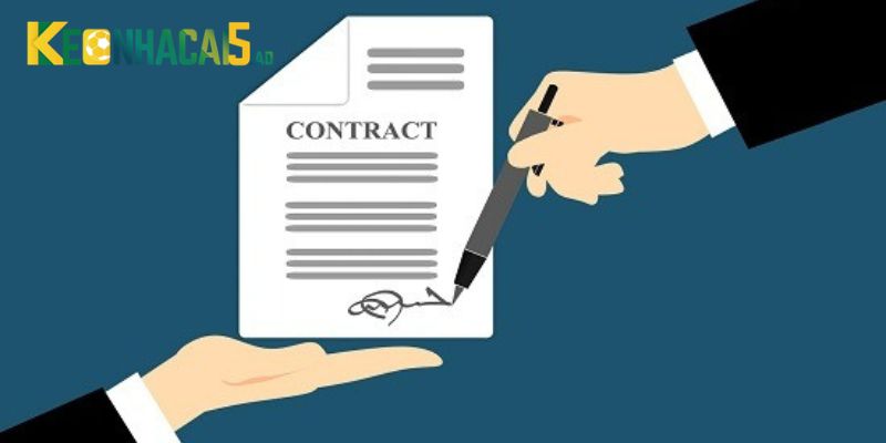 Các trường hợp được xem là vi phạm điều khoản sử dụng