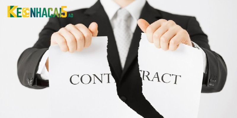 Tầm quan trọng của chính sách chơi có trách nhiệm là gì?